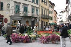 Square in San Casciano