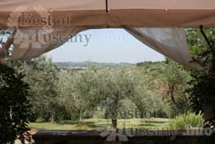 View of the garden from the gazebo
